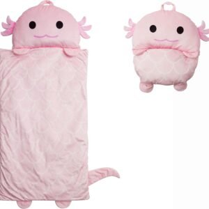 Character Preschool Nap Mat, Toddler Sleeping Bag with Pillow for Daycare, Ages 3+